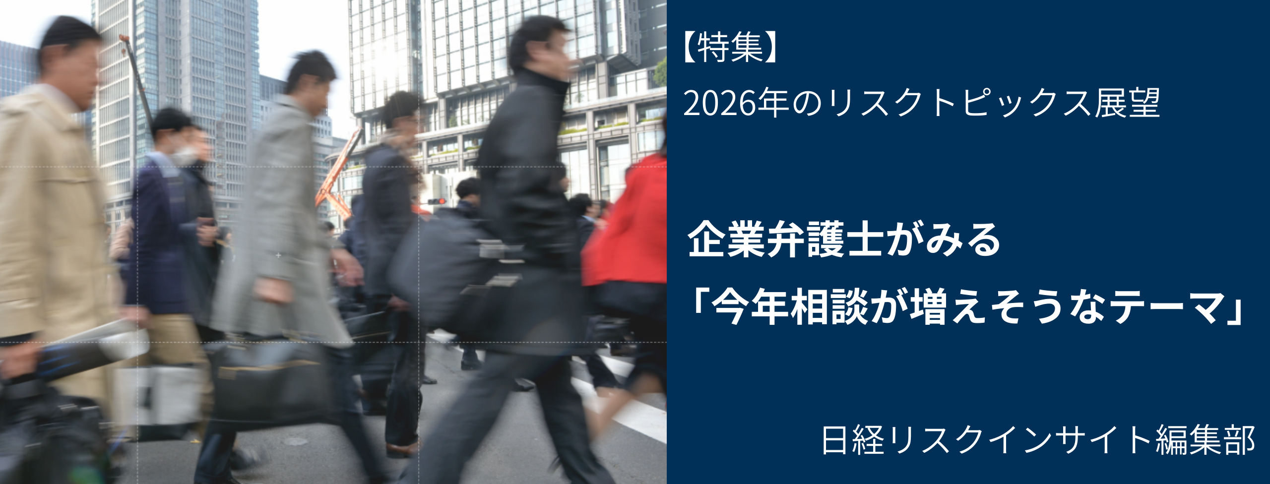 有力弁護士、M&Aや危機管理の需要増を予測 日経リスクインサイト